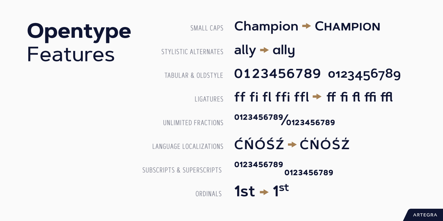 Artegra Sans Extended